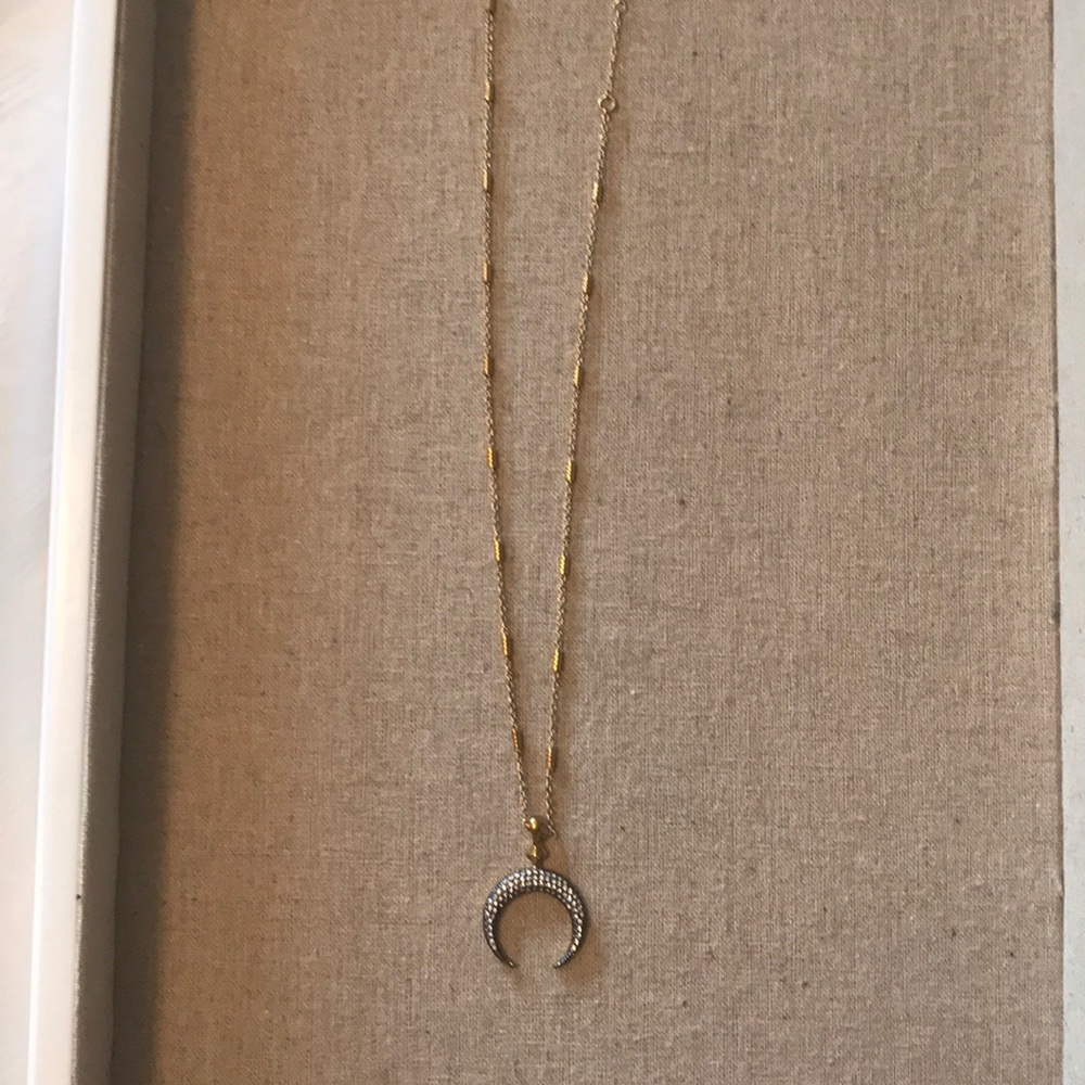 Stella & Dot Diredre Horn Necklace